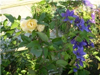 8fc2c36d-Picture 004.jpg
